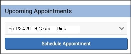Upcoming Appts